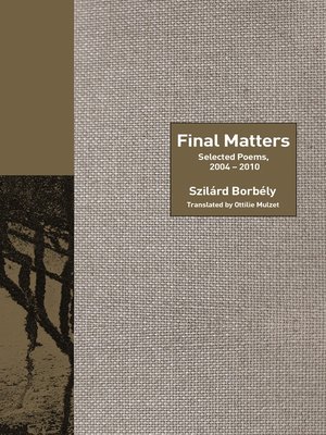 cover image of Final Matters